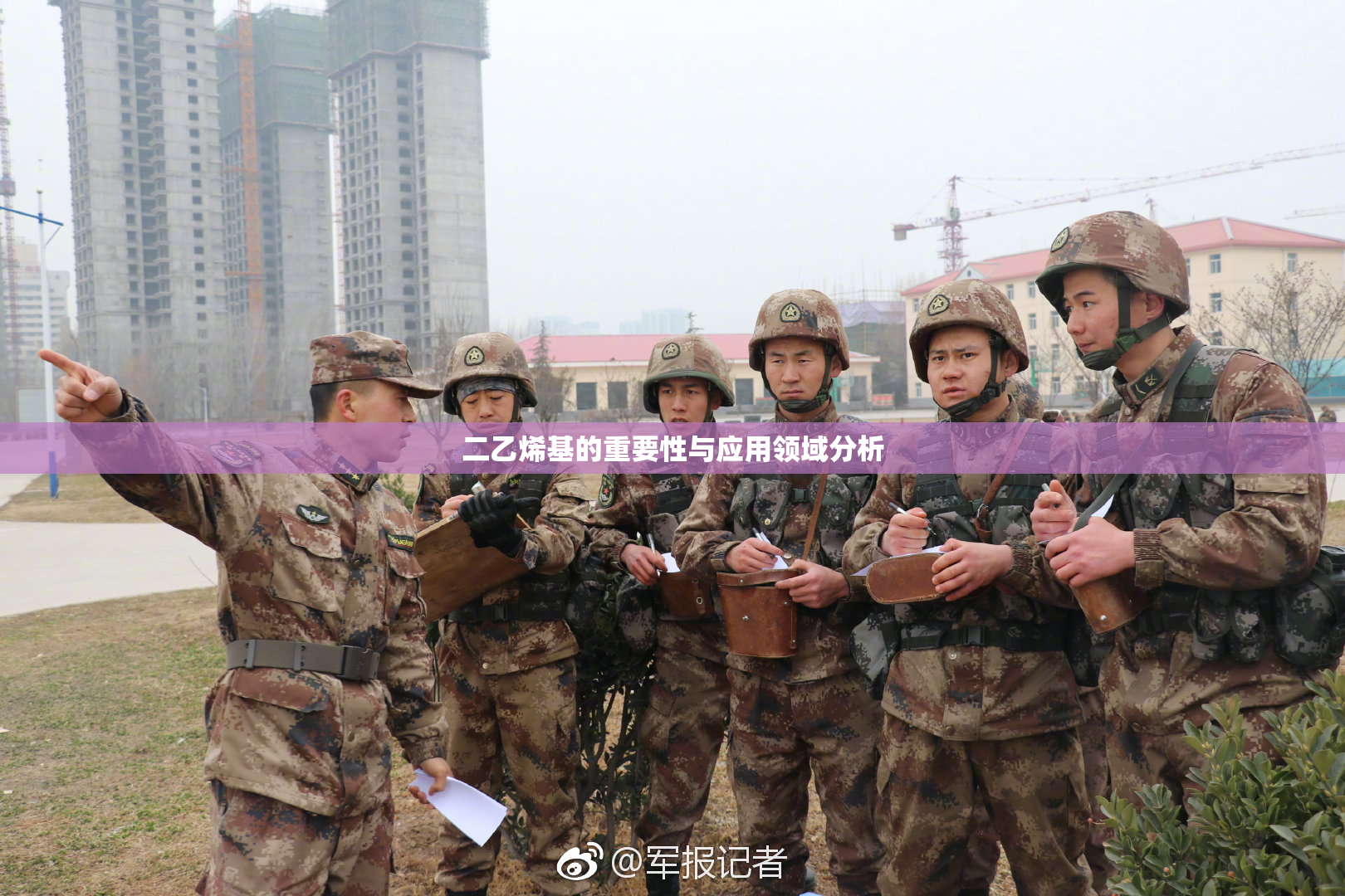 二乙烯基的重要性与应用领域分析
