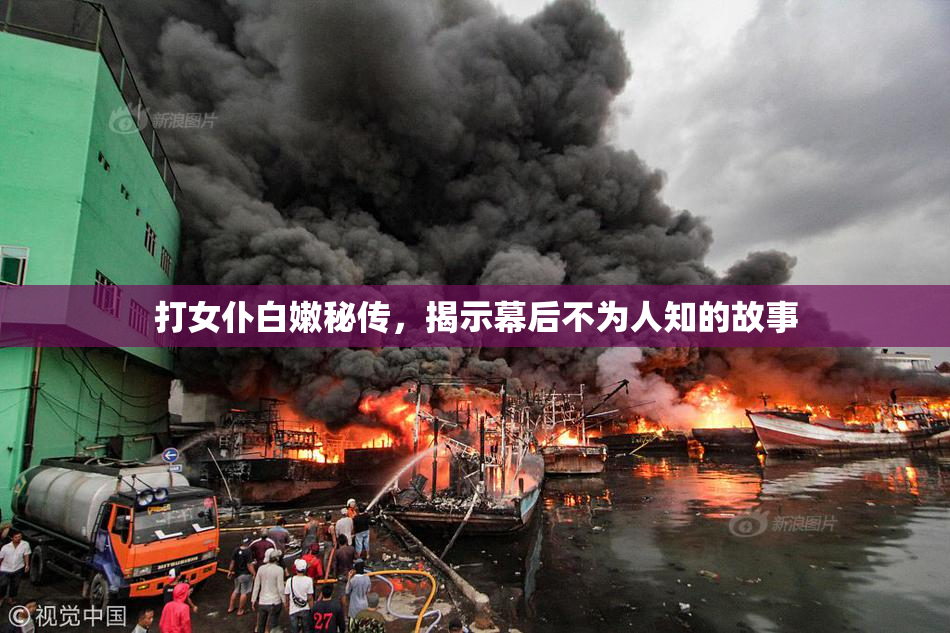 打女仆白嫩秘传，揭示幕后不为人知的故事