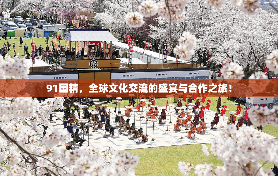 91国精，全球文化交流的盛宴与合作之旅！