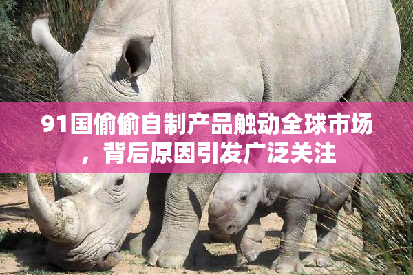 91国偷偷自制产品触动全球市场，背后原因引发广泛关注