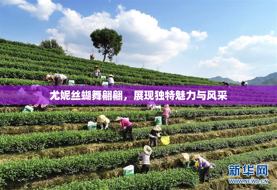 尤妮丝蝴舞翩翩，展现独特魅力与风采