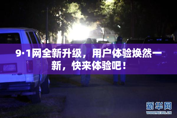 9·1网全新升级，用户体验焕然一新，快来体验吧！