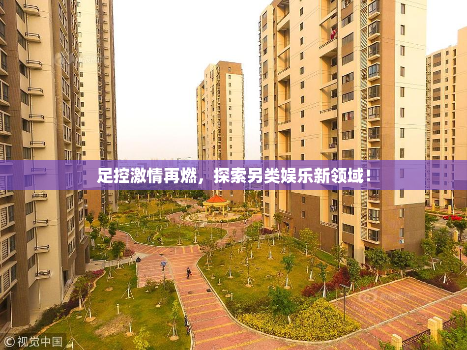 足控激情再燃，探索另类娱乐新领域！