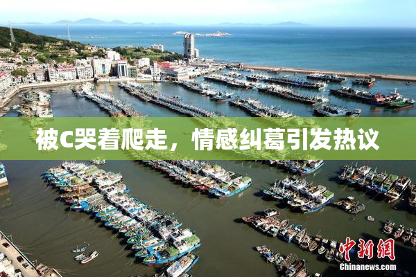 被C哭着爬走，情感纠葛引发热议