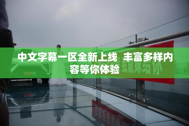 中文字幕一区全新上线  丰富多样内容等你体验