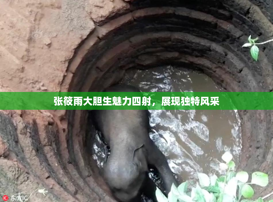 张筱雨大胆生魅力四射，展现独特风采