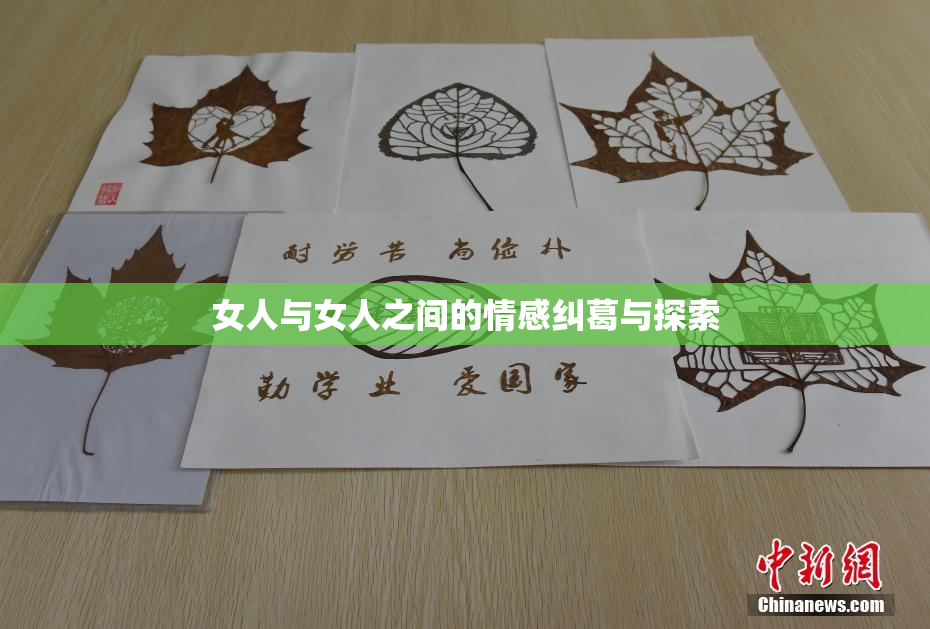 女人与女人之间的情感纠葛与探索