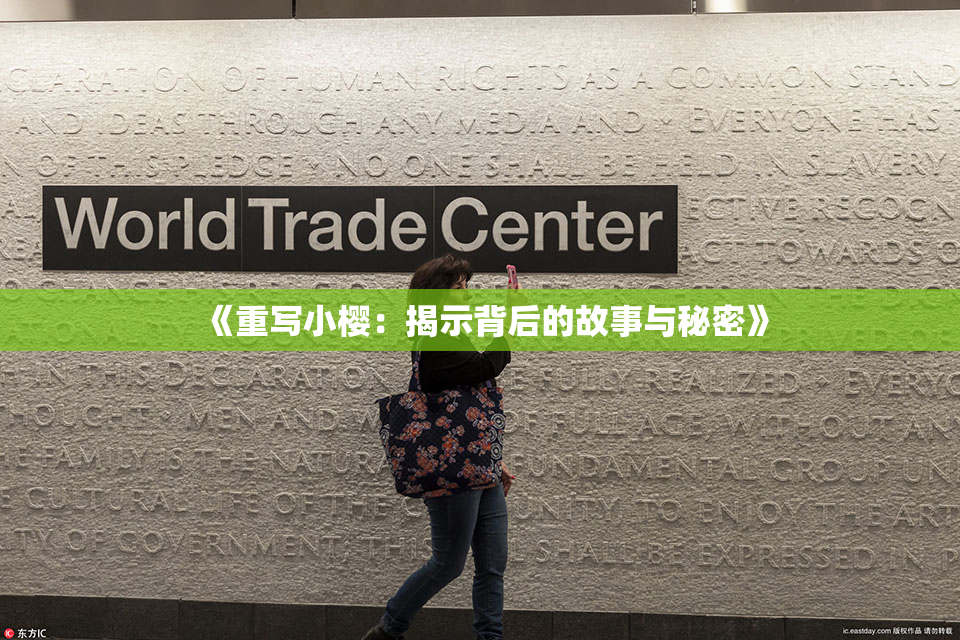 《重写小樱：揭示背后的故事与秘密》