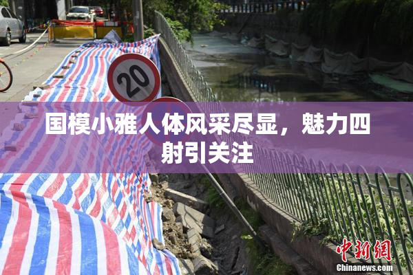 国模小雅人体风采尽显，魅力四射引关注