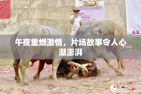 午夜重燃激情，片场故事令人心潮澎湃