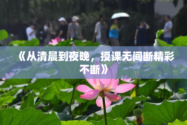 《从清晨到夜晚，授课无间断精彩不断》