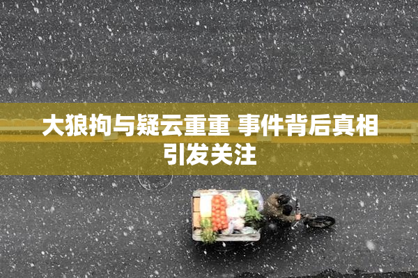 大狼拘与疑云重重 事件背后真相引发关注