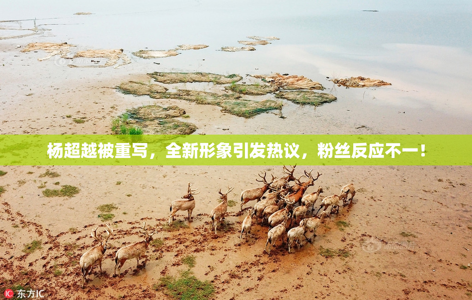 杨超越被重写，全新形象引发热议，粉丝反应不一！