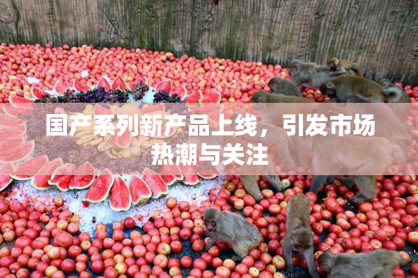 国产系列新产品上线，引发市场热潮与关注