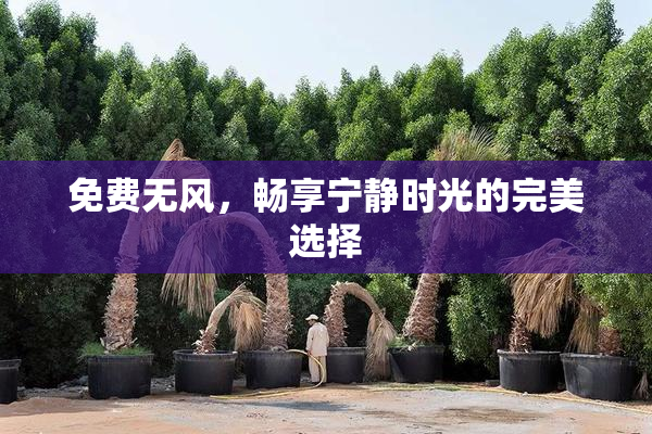 免费无风，畅享宁静时光的完美选择