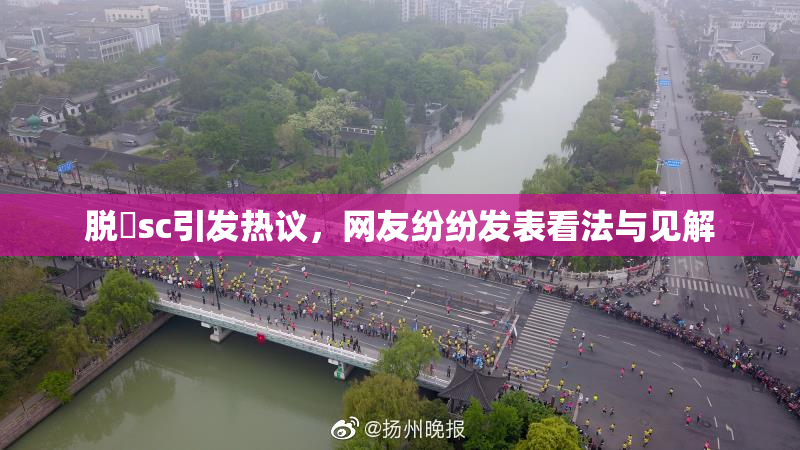 脱糞sc引发热议，网友纷纷发表看法与见解