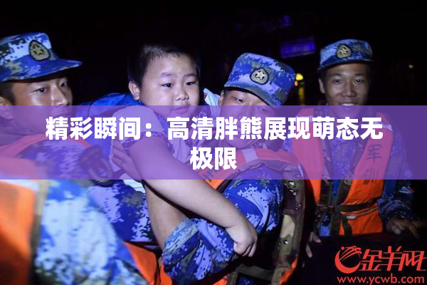 精彩瞬间：高清胖熊展现萌态无极限