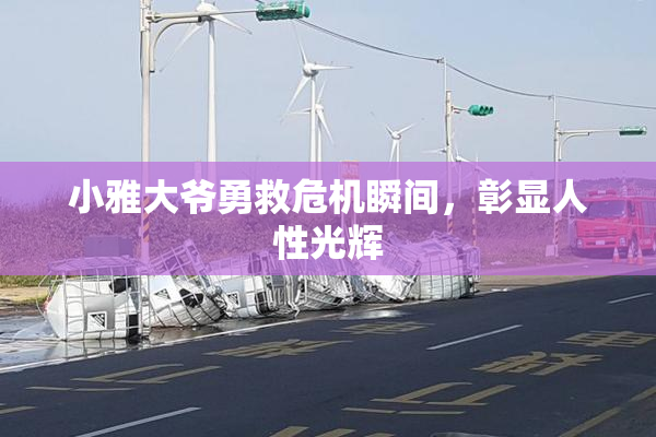 小雅大爷勇救危机瞬间，彰显人性光辉