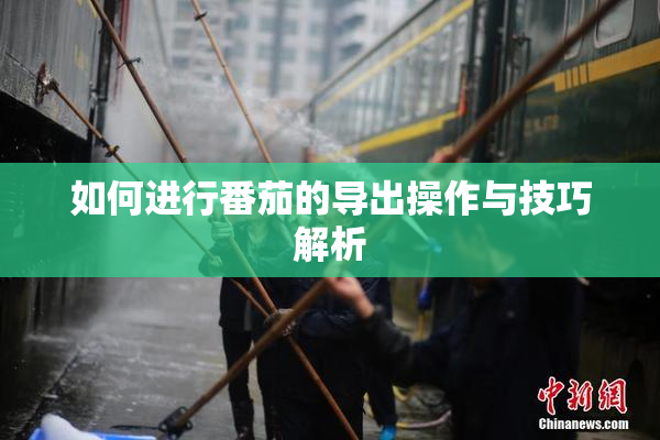 如何进行番茄的导出操作与技巧解析