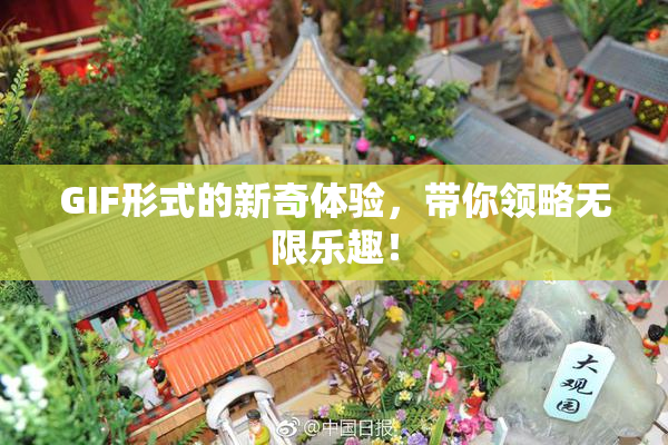 GIF形式的新奇体验，带你领略无限乐趣！