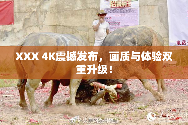 XXX 4K震撼发布，画质与体验双重升级！