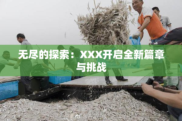 无尽的探索：XXX开启全新篇章与挑战
