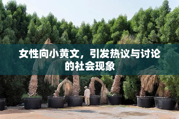 女性向小黄文，引发热议与讨论的社会现象