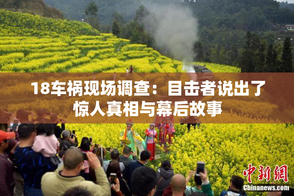 18车祸现场调查：目击者说出了惊人真相与幕后故事