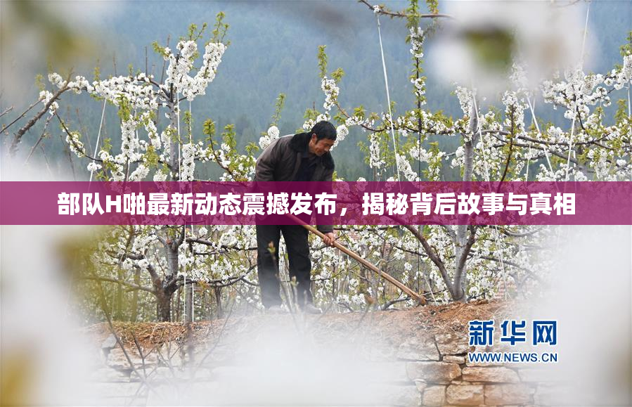 部队H啪最新动态震撼发布，揭秘背后故事与真相