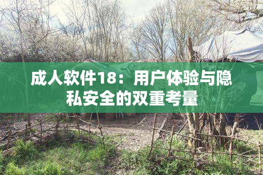 成人软件18：用户体验与隐私安全的双重考量
