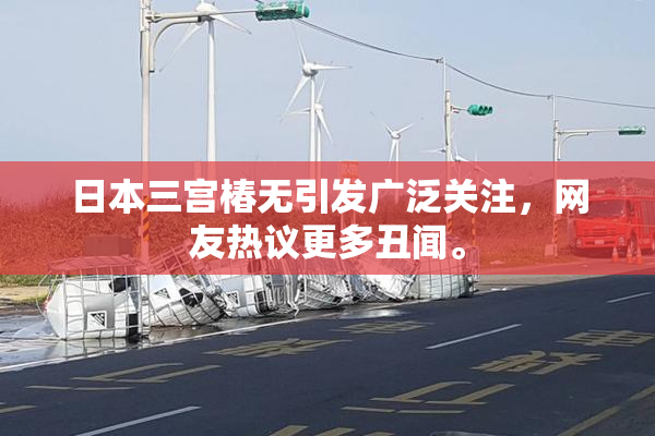 日本三宫椿无引发广泛关注，网友热议更多丑闻。