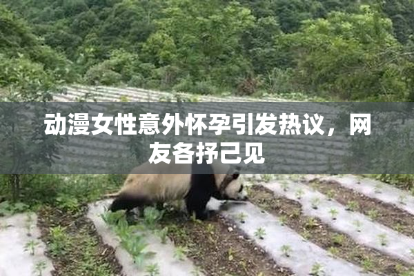 动漫女性意外怀孕引发热议，网友各抒己见