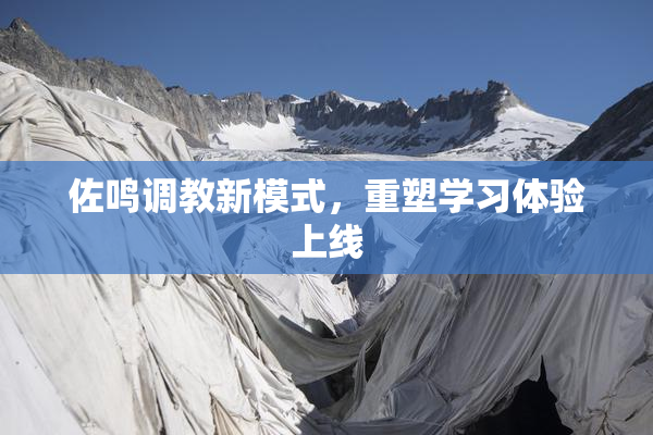佐鸣调教新模式，重塑学习体验上线