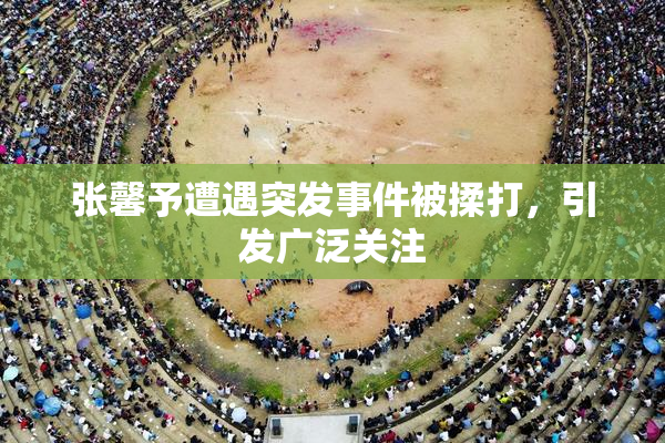 张馨予遭遇突发事件被揉打，引发广泛关注