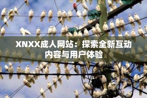 XNXX成人网站：探索全新互动内容与用户体验