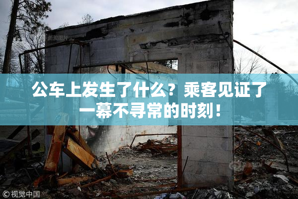 公车上发生了什么？乘客见证了一幕不寻常的时刻！