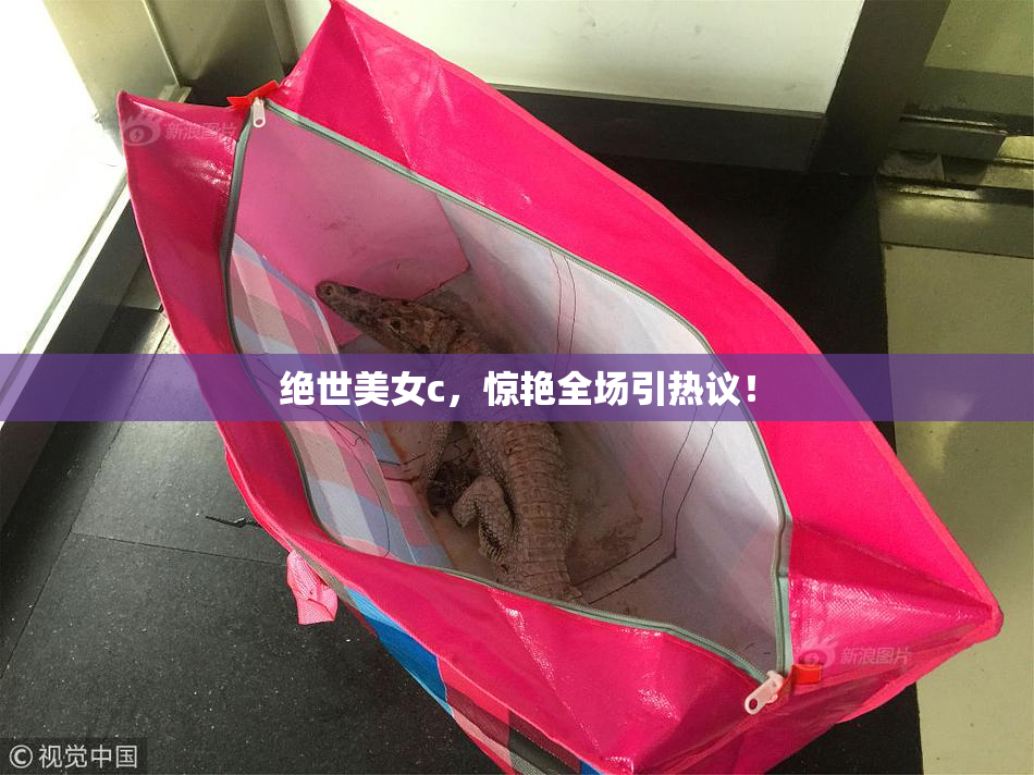绝世美女c，惊艳全场引热议！