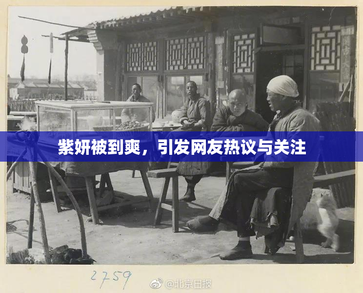 紫妍被到爽，引发网友热议与关注