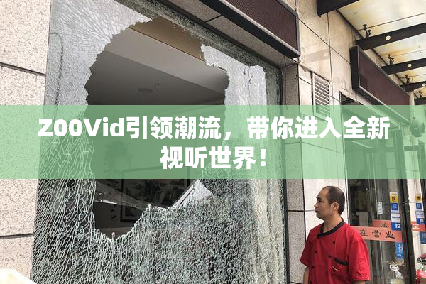 Z00Vid引领潮流，带你进入全新视听世界！