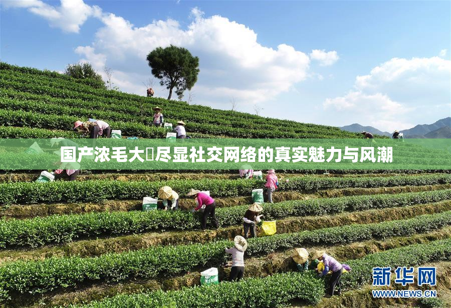 国产浓毛大泬尽显社交网络的真实魅力与风潮