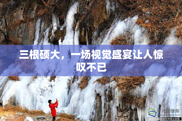 三根硕大，一场视觉盛宴让人惊叹不已