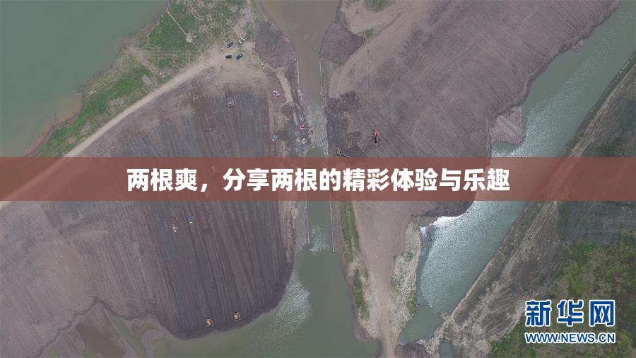 两根爽，分享两根的精彩体验与乐趣