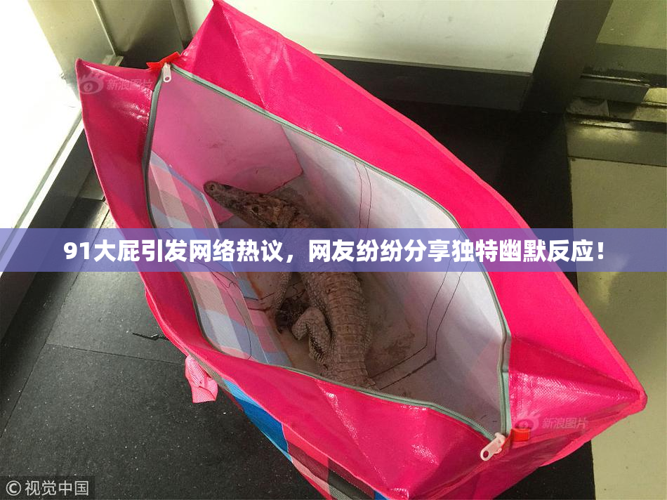 91大屁引发网络热议，网友纷纷分享独特幽默反应！