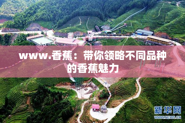 www.香蕉：带你领略不同品种的香蕉魅力