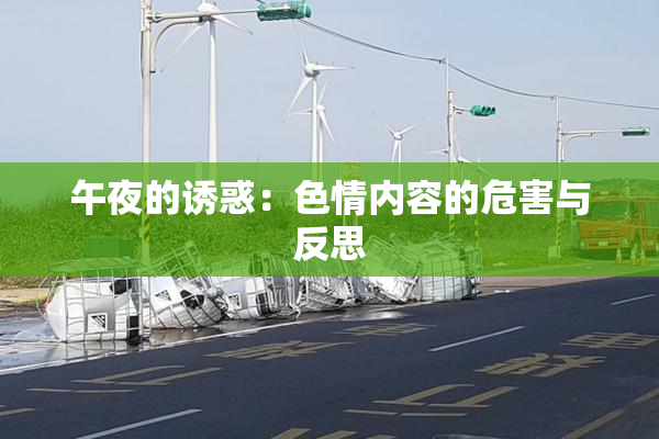 午夜的诱惑：色情内容的危害与反思