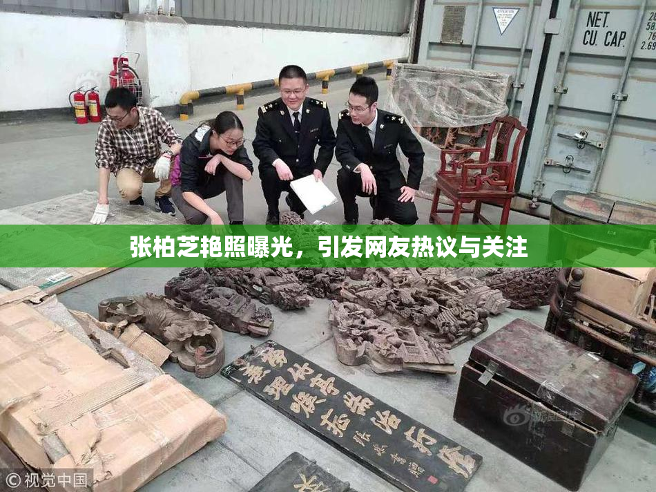 张柏芝艳照曝光，引发网友热议与关注