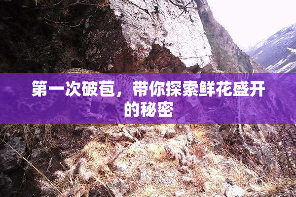 第一次破苞，带你探索鲜花盛开的秘密