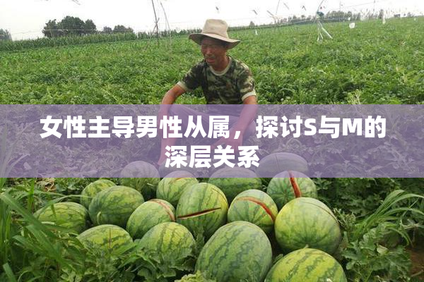 女性主导男性从属，探讨S与M的深层关系