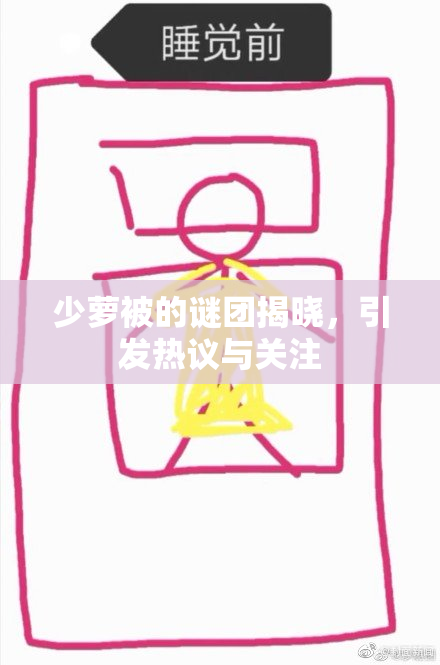 少萝被的谜团揭晓，引发热议与关注