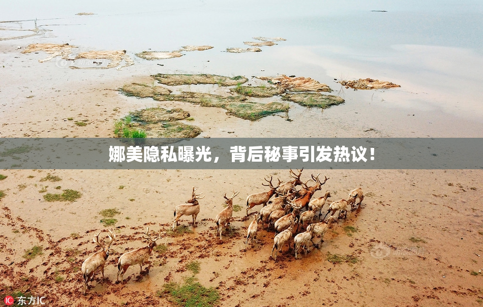 娜美隐私曝光，背后秘事引发热议！